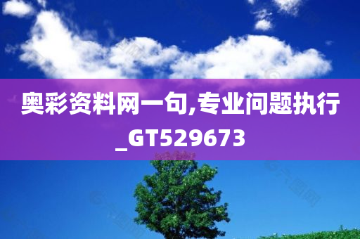 奥彩资料网一句,专业问题执行_GT529673