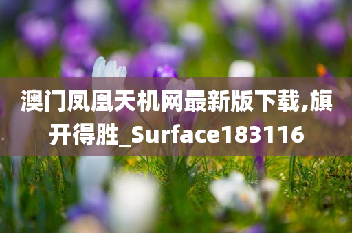 澳门凤凰天机网最新版下载,旗开得胜_Surface183116