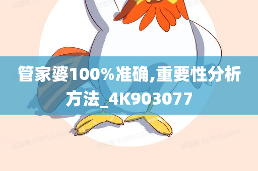 管家婆100%准确,重要性分析方法_4K903077