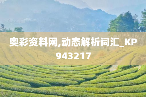 奥彩资料网,动态解析词汇_KP943217