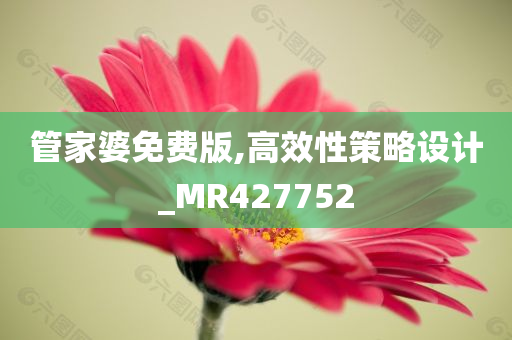 管家婆免费版,高效性策略设计_MR427752