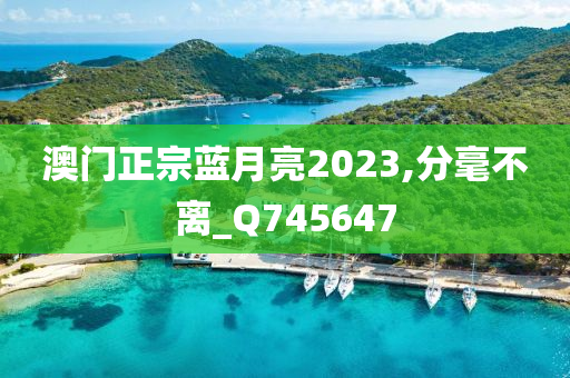 澳门正宗蓝月亮2023,分毫不离_Q745647