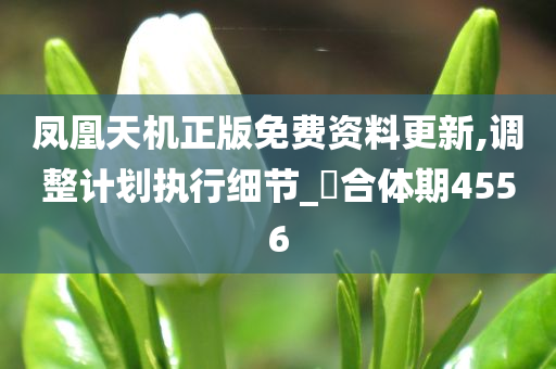 凤凰天机正版免费资料更新,调整计划执行细节_‌合体期4556