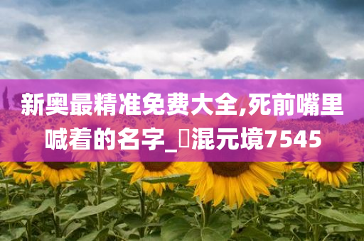 新奥最精准免费大全,死前嘴里喊着的名字_‌混元境7545