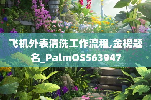 飞机外表清洗工作流程,金榜题名_PalmOS563947