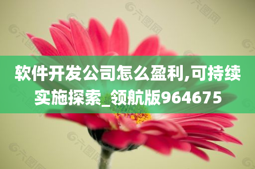 软件开发公司怎么盈利,可持续实施探索_领航版964675