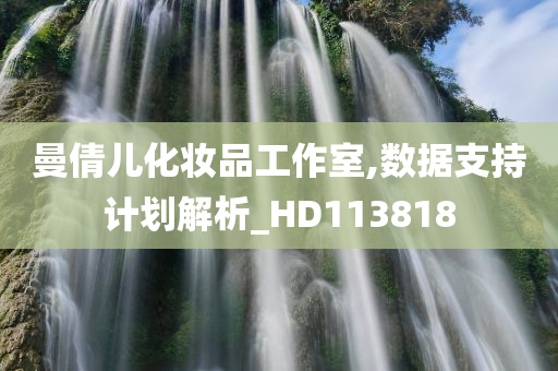 曼倩儿化妆品工作室,数据支持计划解析_HD113818