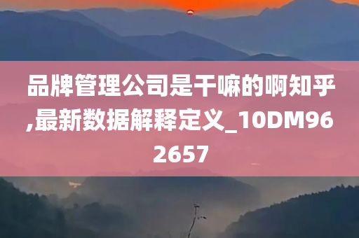 品牌管理公司是干嘛的啊知乎,最新数据解释定义_10DM962657