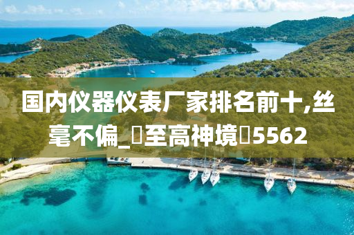 国内仪器仪表厂家排名前十,丝毫不偏_‌至高神境‌5562