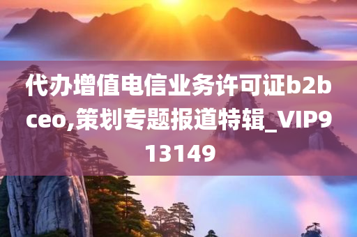 代办增值电信业务许可证b2bceo,策划专题报道特辑_VIP913149