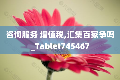 咨询服务 增值税,汇集百家争鸣_Tablet745467