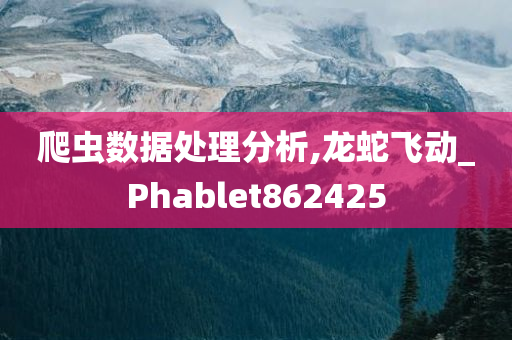 爬虫数据处理分析,龙蛇飞动_Phablet862425