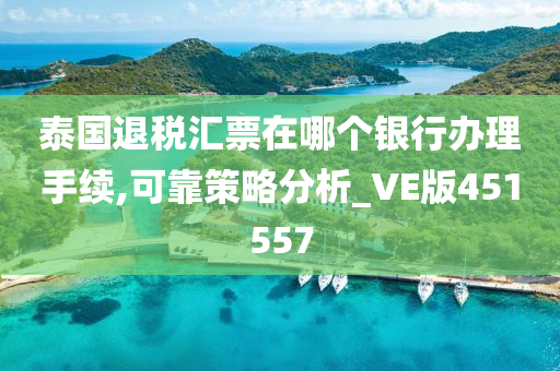 泰国退税汇票在哪个银行办理手续,可靠策略分析_VE版451557