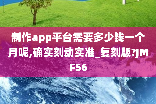 制作app平台需要多少钱一个月呢,确实刻动实准_复刻版?JMF56