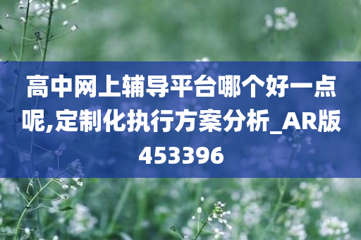 高中网上辅导平台哪个好一点呢,定制化执行方案分析_AR版453396