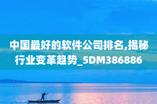 中国最好的软件公司排名,揭秘行业变革趋势_5DM386886