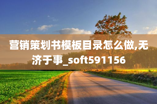 营销策划书模板目录怎么做,无济于事_soft591156