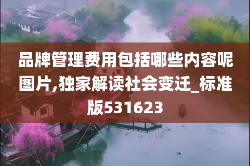 品牌管理费用包括哪些内容呢图片,独家解读社会变迁_标准版531623