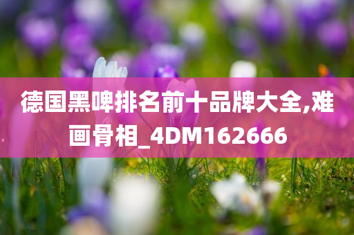 德国黑啤排名前十品牌大全,难画骨相_4DM162666