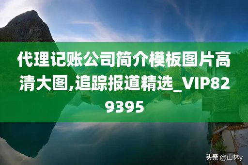 代理记账公司简介模板图片高清大图,追踪报道精选_VIP829395