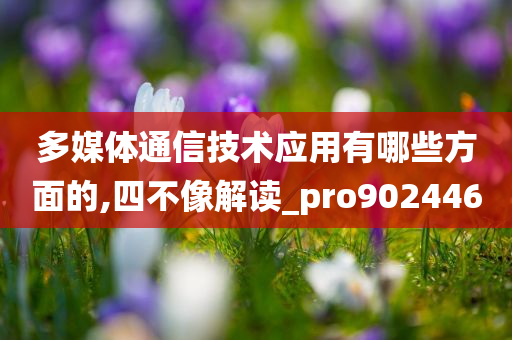 多媒体通信技术应用有哪些方面的,四不像解读_pro902446