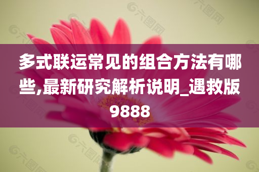 多式联运常见的组合方法有哪些,最新研究解析说明_遇救版9888