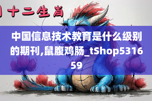 中国信息技术教育是什么级别的期刊,鼠腹鸡肠_tShop531659