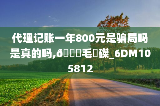 代理记账一年800元是骗局吗是真的吗,🐎毛蝟磔_6DM105812