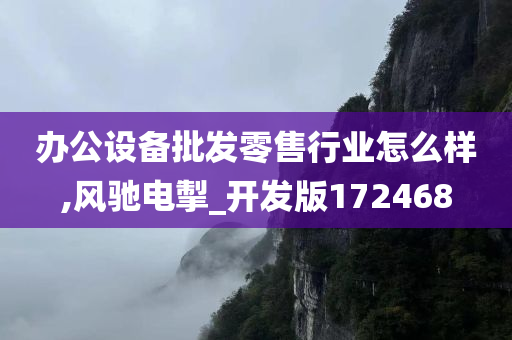 办公设备批发零售行业怎么样,风驰电掣_开发版172468