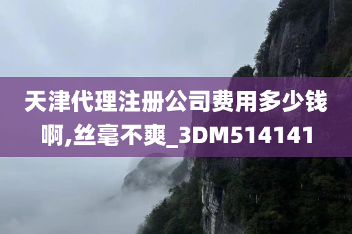 天津代理注册公司费用多少钱啊,丝毫不爽_3DM514141