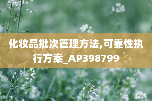 化妆品批次管理方法,可靠性执行方案_AP398799