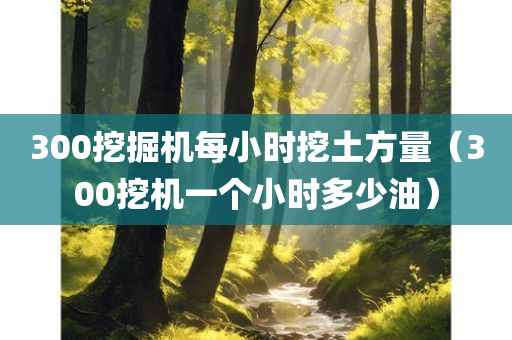 300挖掘机每小时挖土方量（300挖机一个小时多少油）