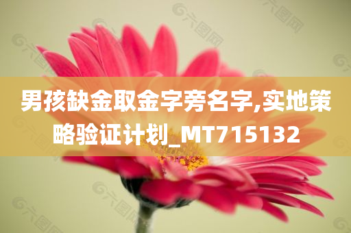 男孩缺金取金字旁名字,实地策略验证计划_MT715132