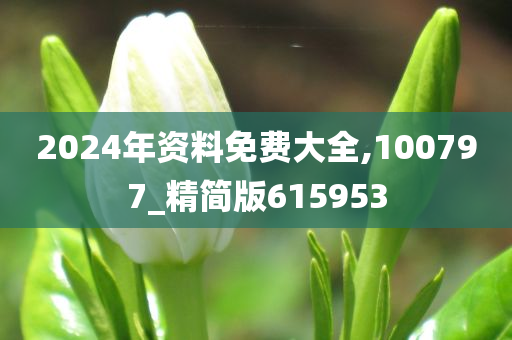 2024年资料免费大全,100797_精简版615953