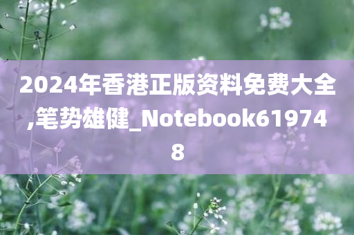 2024年香港正版资料免费大全,笔势雄健_Notebook619748