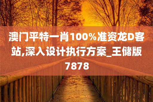 澳门平特一肖100%准资龙D客站,深入设计执行方案_王储版7878