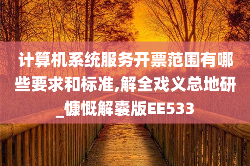 计算机系统服务开票范围有哪些要求和标准,解全戏义总地研_慷慨解囊版EE533