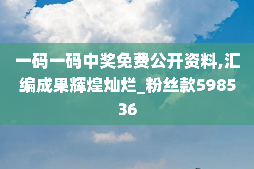 一码一码中奖免费公开资料,汇编成果辉煌灿烂_粉丝款598536