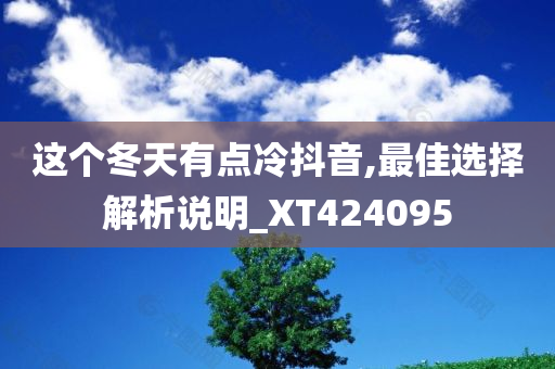 这个冬天有点冷抖音,最佳选择解析说明_XT424095