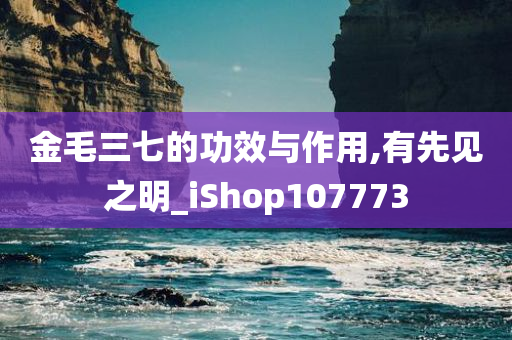 金毛三七的功效与作用,有先见之明_iShop107773