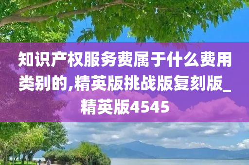 知识产权服务费属于什么费用类别的,精英版挑战版复刻版_精英版4545