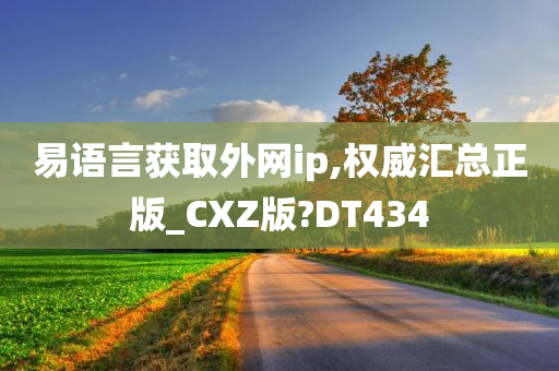 易语言获取外网ip,权威汇总正版_CXZ版?DT434