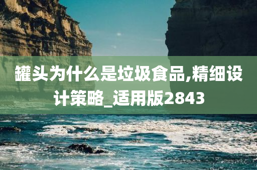 罐头为什么是垃圾食品,精细设计策略_适用版2843