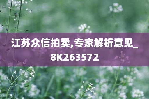 江苏众信拍卖,专家解析意见_8K263572