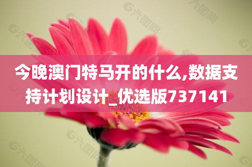 今晚澳门特马开的什么,数据支持计划设计_优选版737141