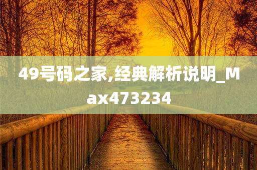 49号码之家,经典解析说明_Max473234