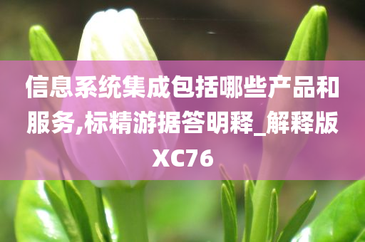 信息系统集成包括哪些产品和服务,标精游据答明释_解释版XC76