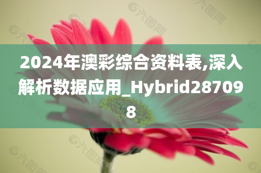 2024年澳彩综合资料表,深入解析数据应用_Hybrid287098