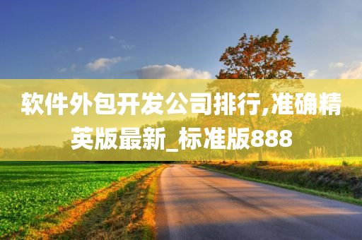 软件外包开发公司排行,准确精英版最新_标准版888