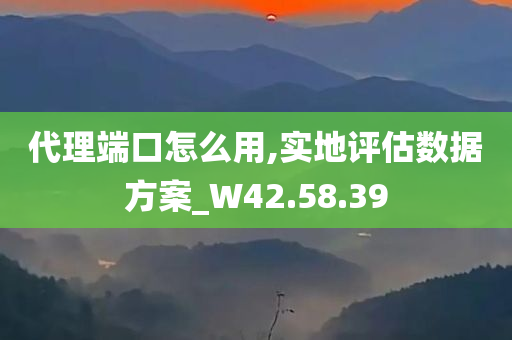 代理端口怎么用,实地评估数据方案_W42.58.39